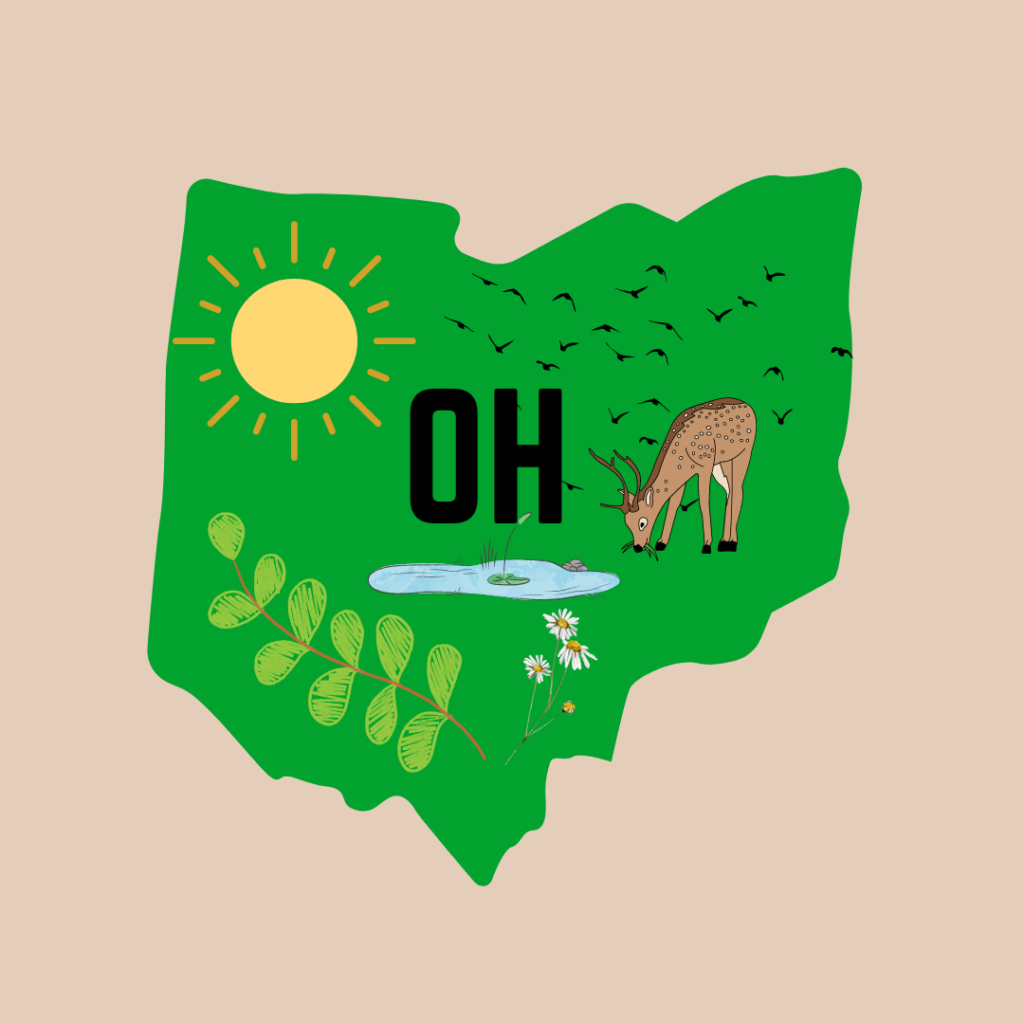 Image of the Ohio state border with nature symbols like a sun, birds, deer, lake, ferns, and a wildflower with the label "OH' on it.