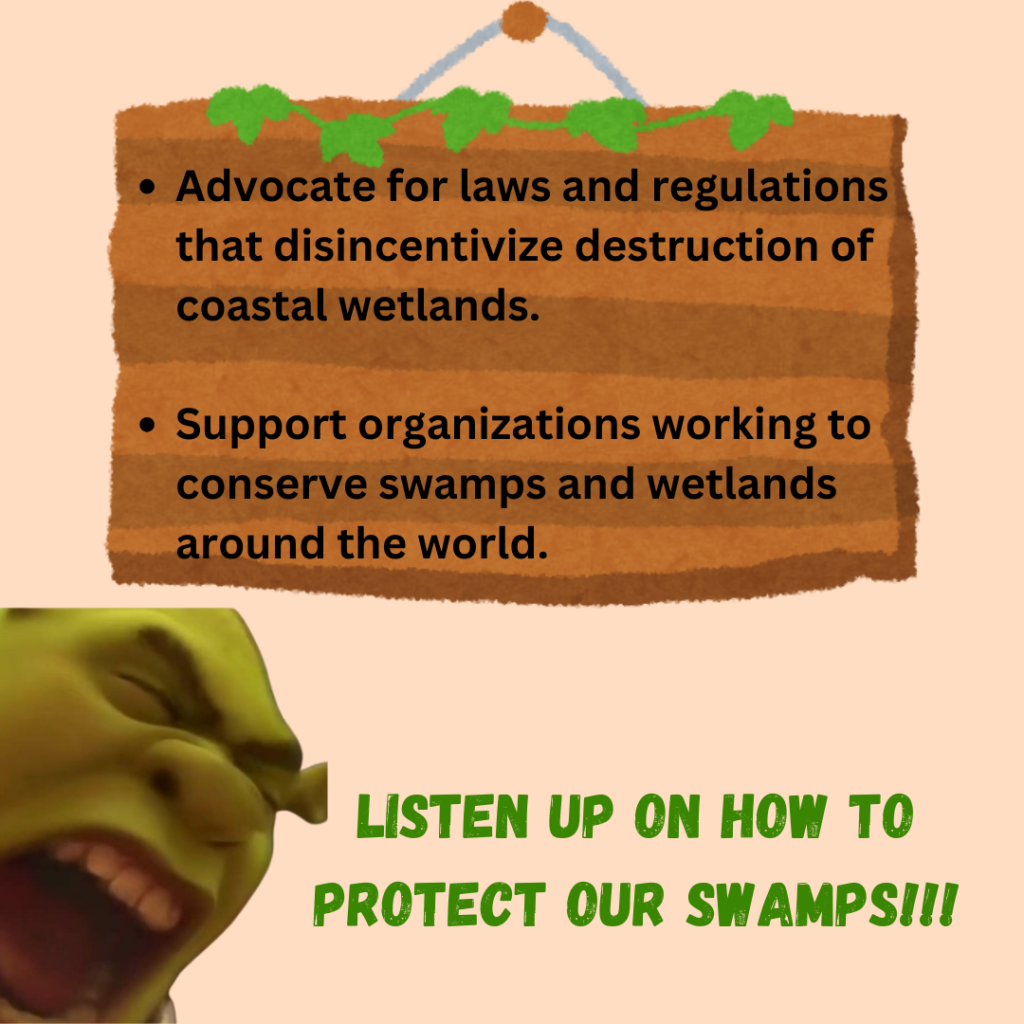 Shrek is screaming "Listen up to how to protect our swamps" with a sign that say sEncourage the development and enforcement of laws and regulations that disincentivize destruction of coastal wetlands. Support organizations working to protect coastal wetlands around the world.