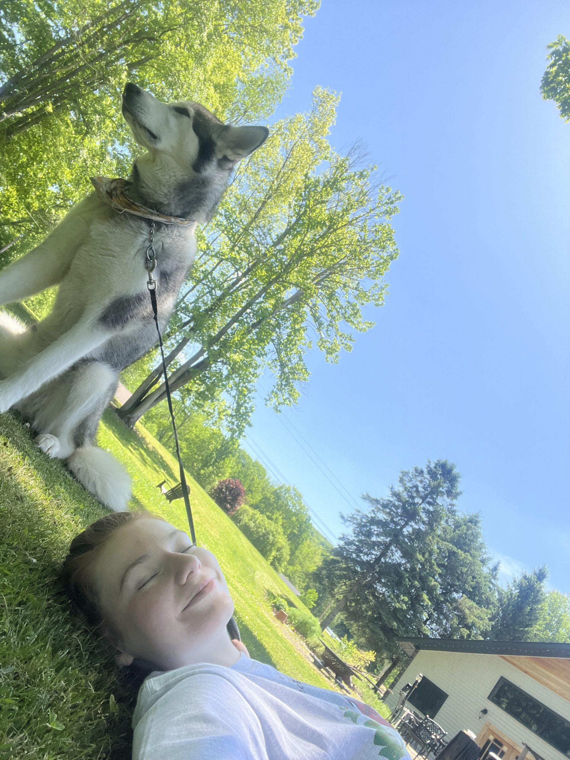 Sunbathe with roxie