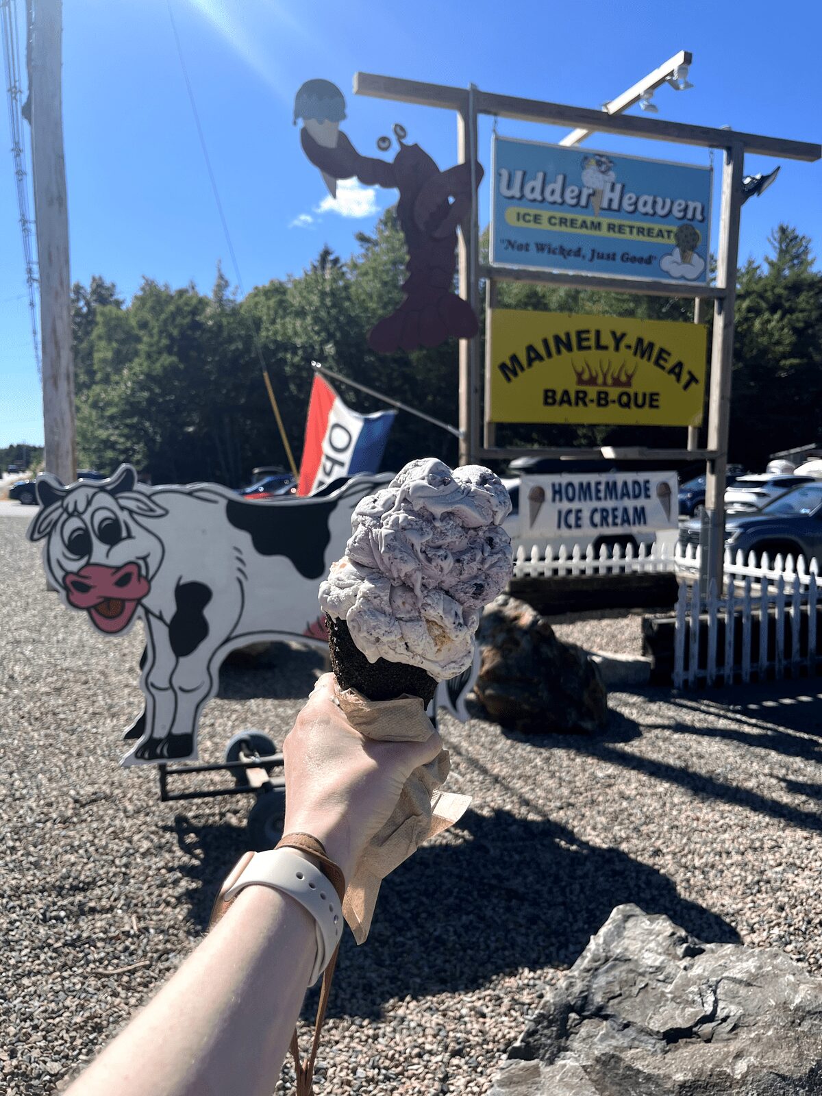 Udder heaven dish 3: Maine blueberry and blueberry cheesecake in an Oreo dipped waffle cone. Blueberry cheesecake ice-cream is BLISS with perfect ratio and texture of cheesecake bits. The Maine Blueberry was HEAVENLY. And all in an Oreo dipped waffle cone?! The people who ordered this waffle cone in front of me and inspired my decision are geniuses lol. 9.999/10 ⭐'s.