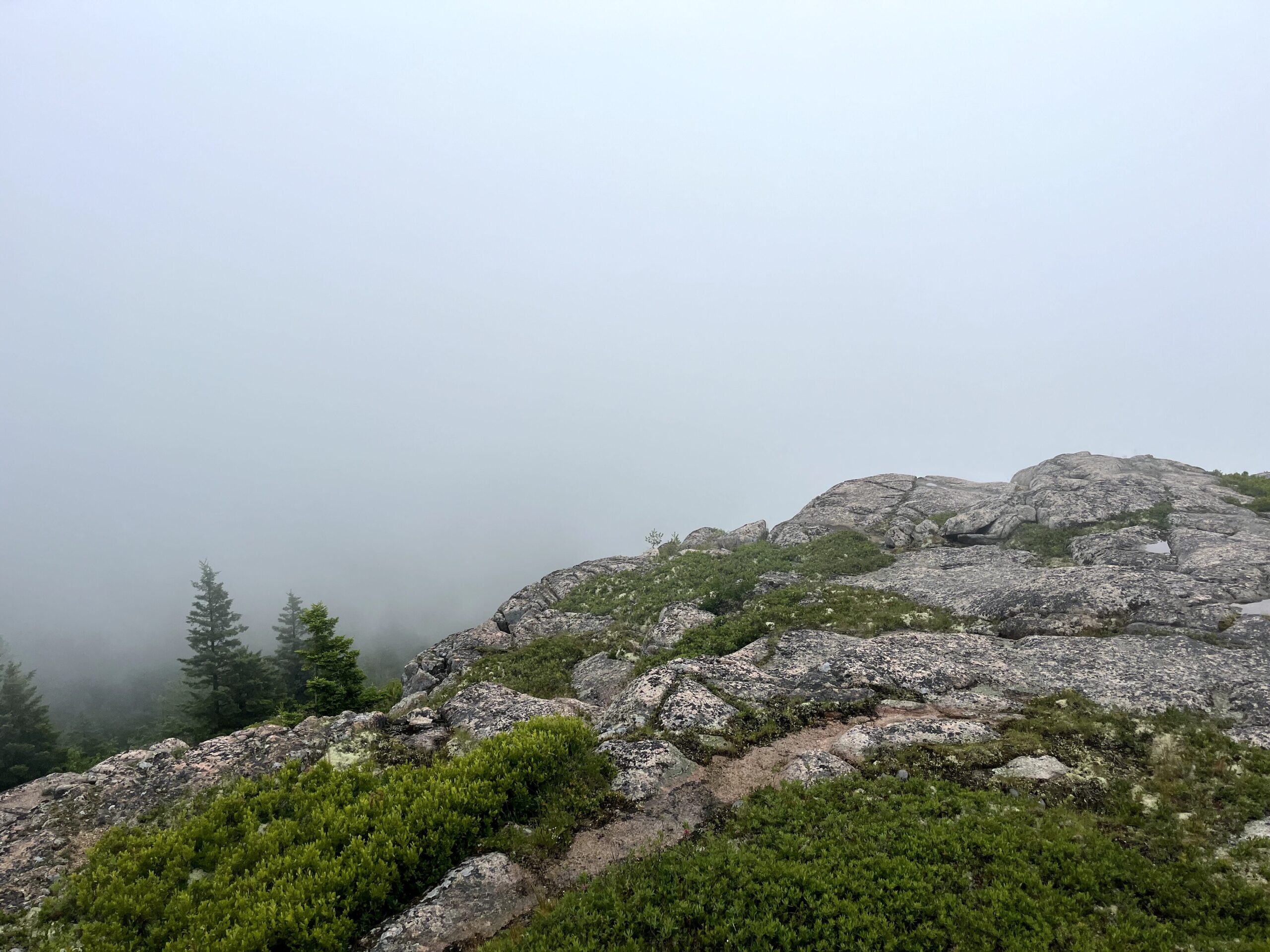 sar views 1