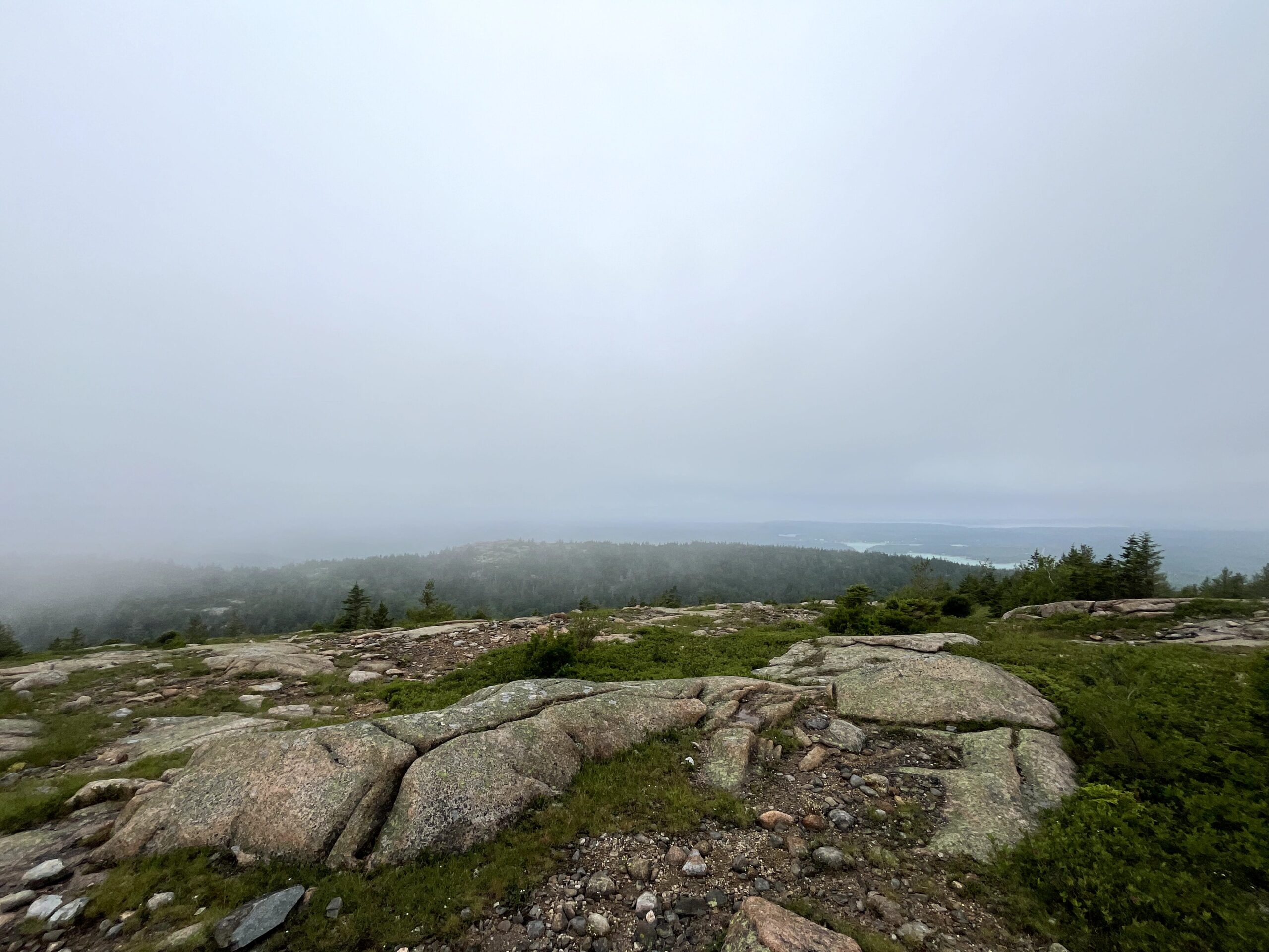 sar views 10