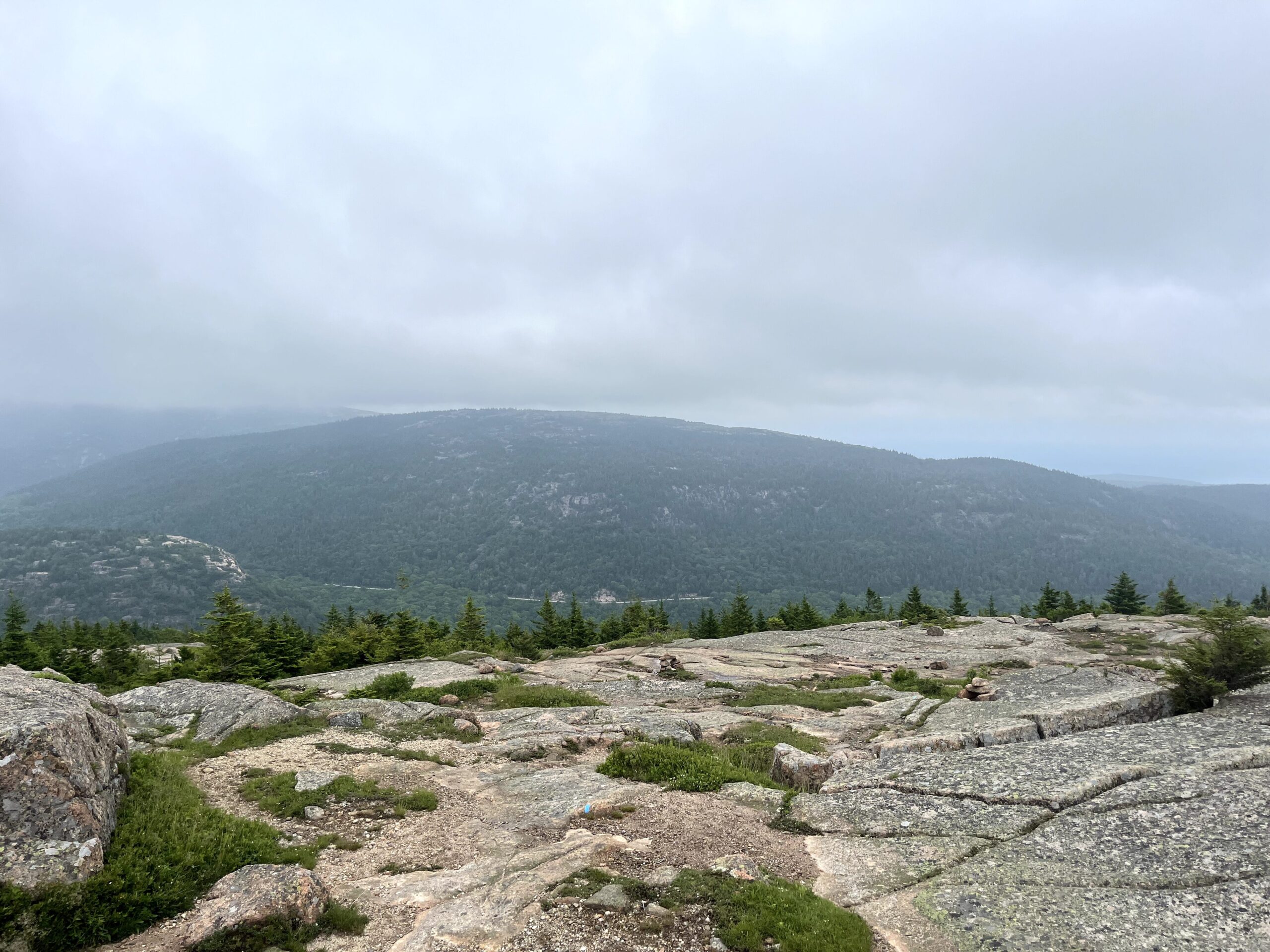 sar views 11