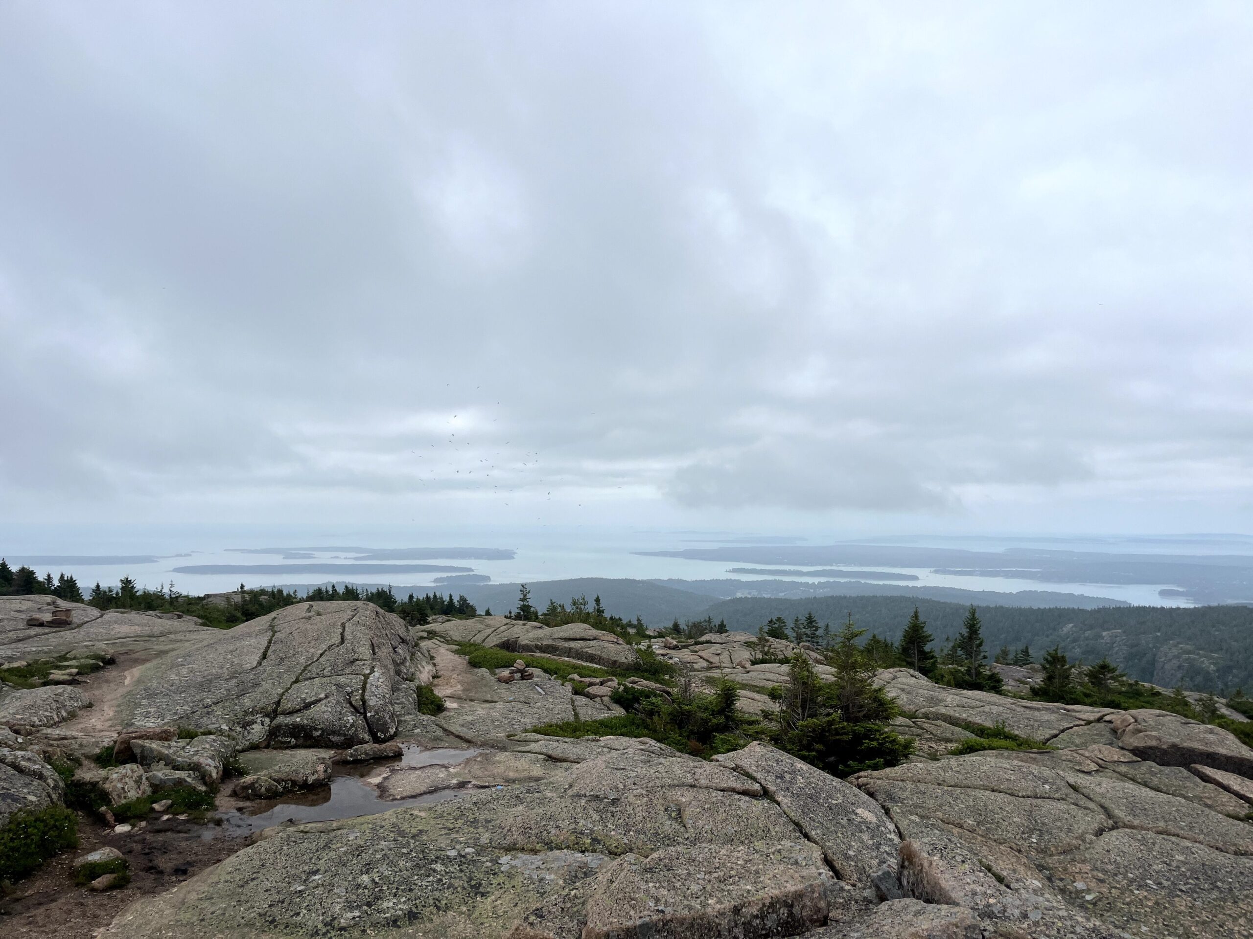 sar views 12