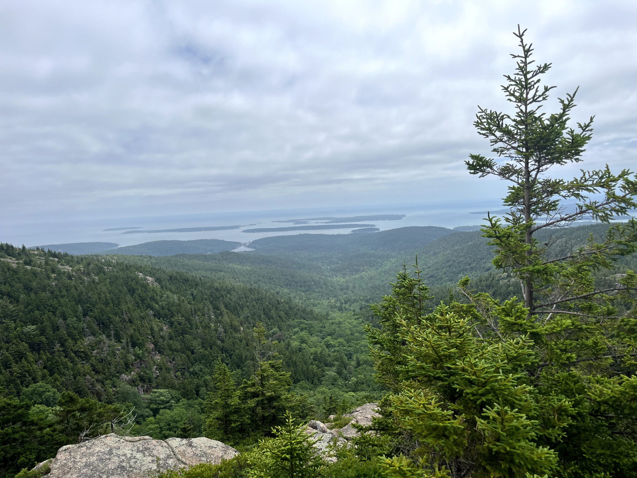 sar views 15