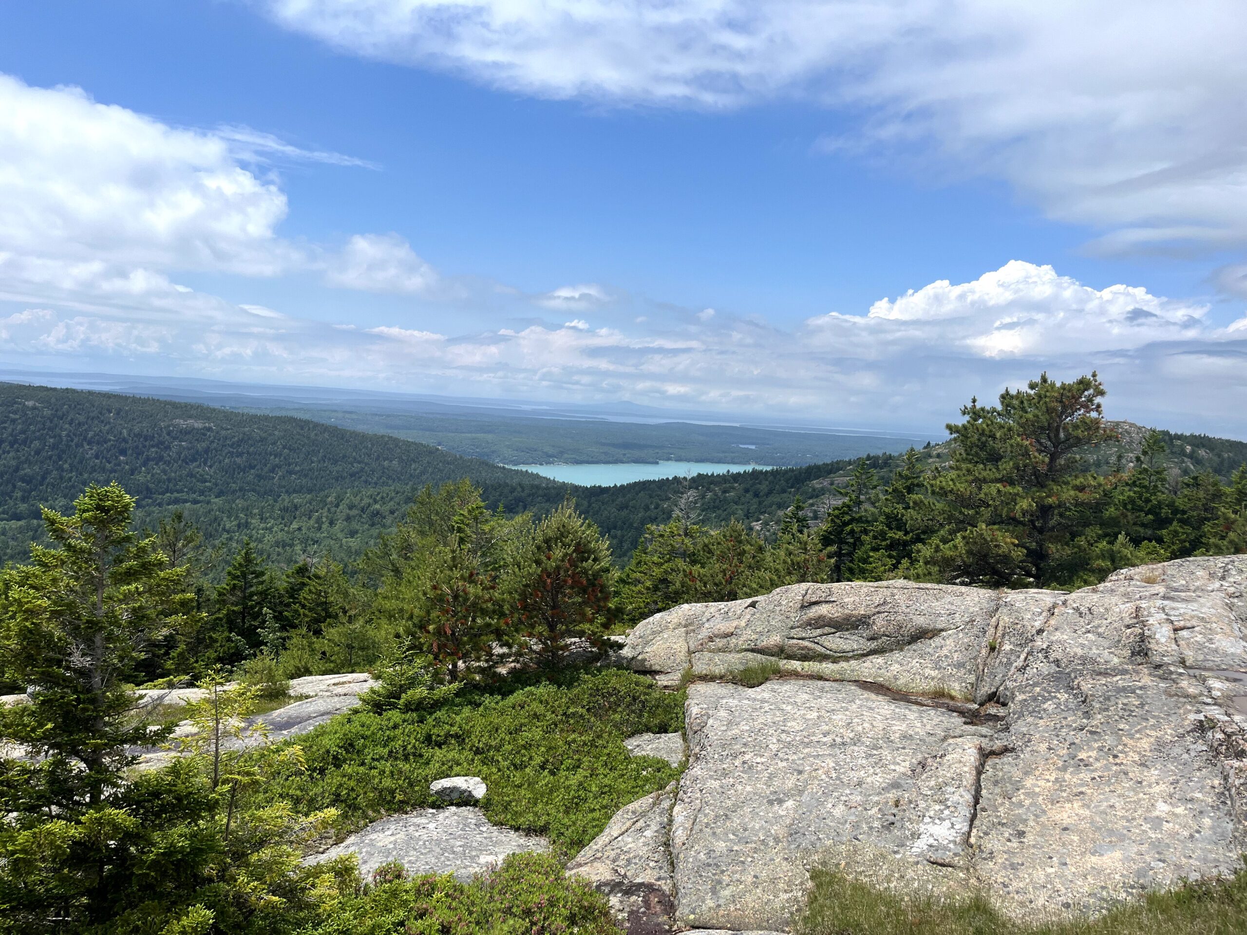 sar views 16