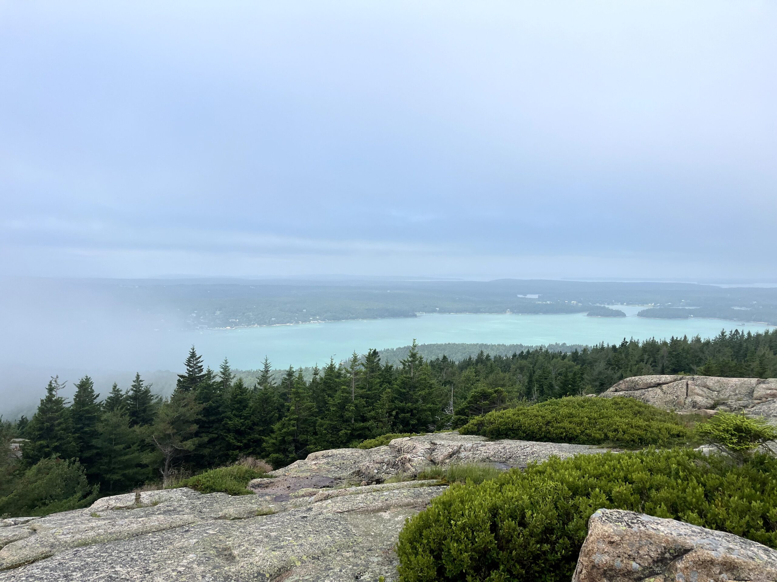 sar views 2