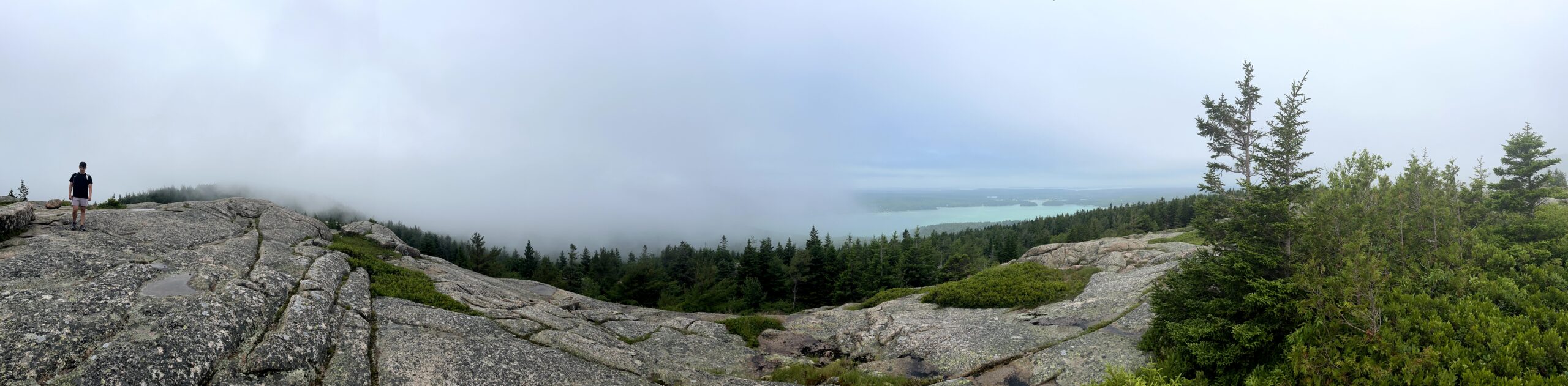 sar views 4