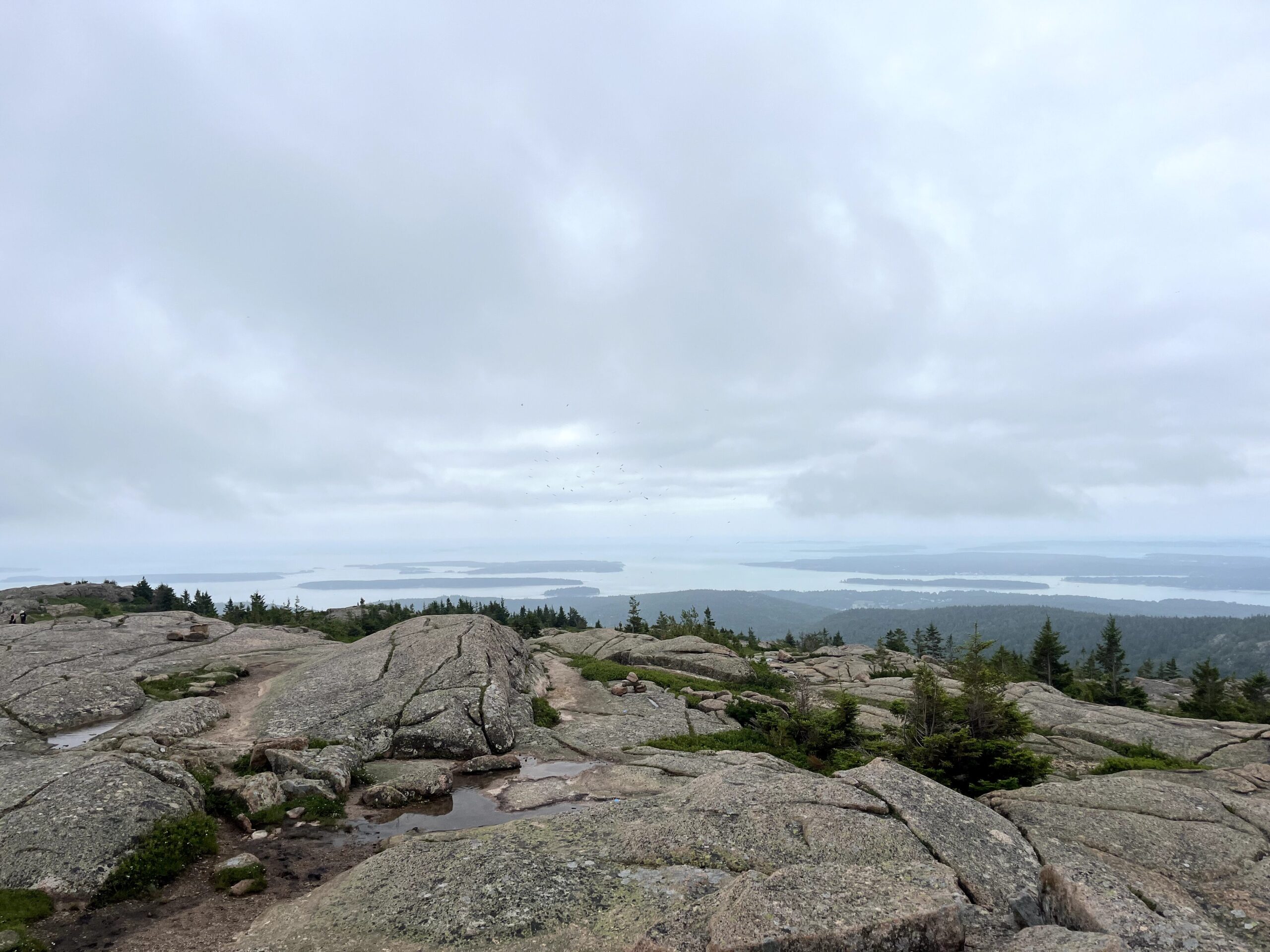 sar views 5