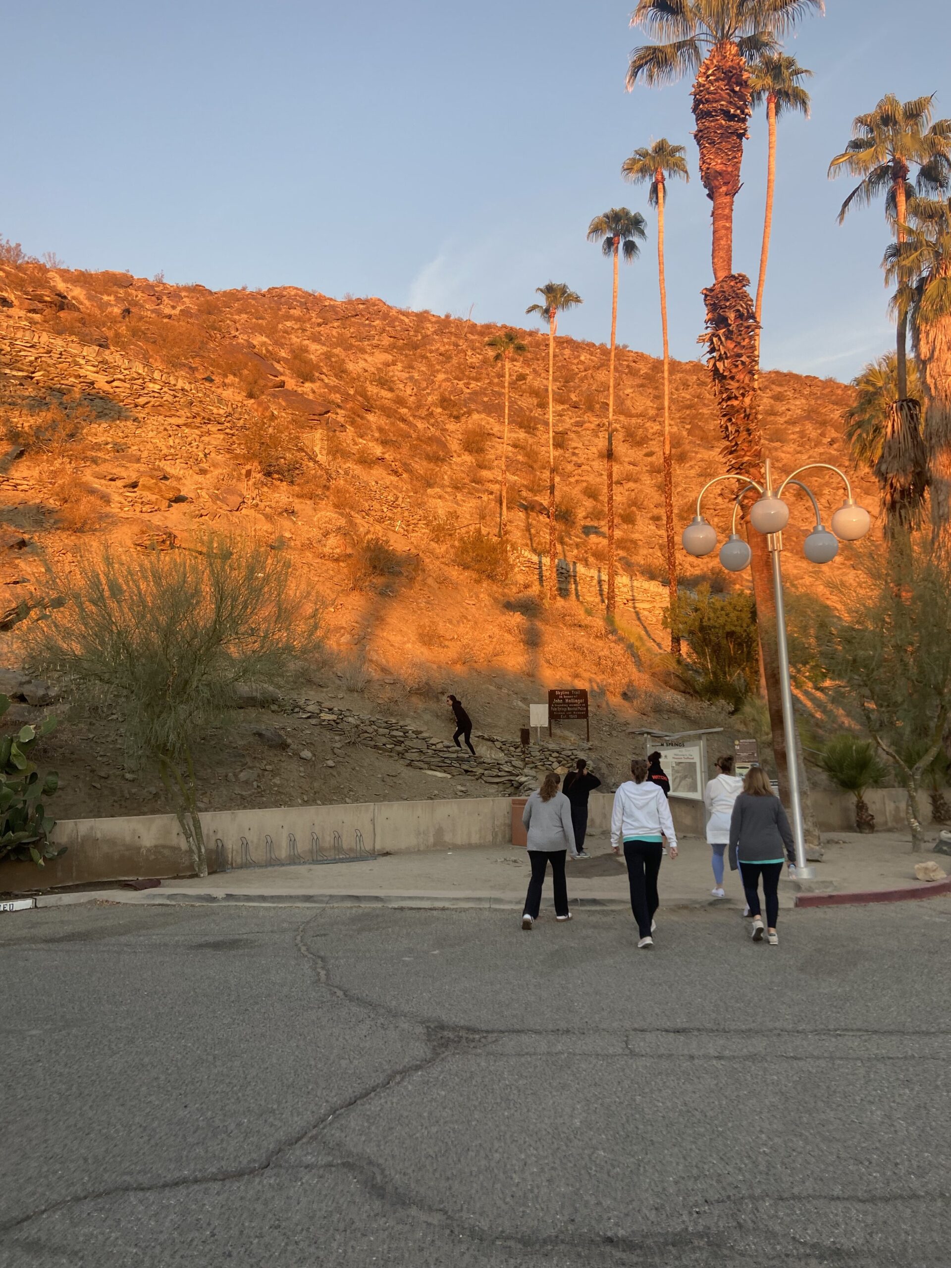 The trailhead.